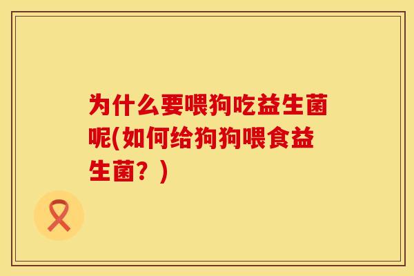 为什么要喂狗吃益生菌呢(如何给狗狗喂食益生菌？)