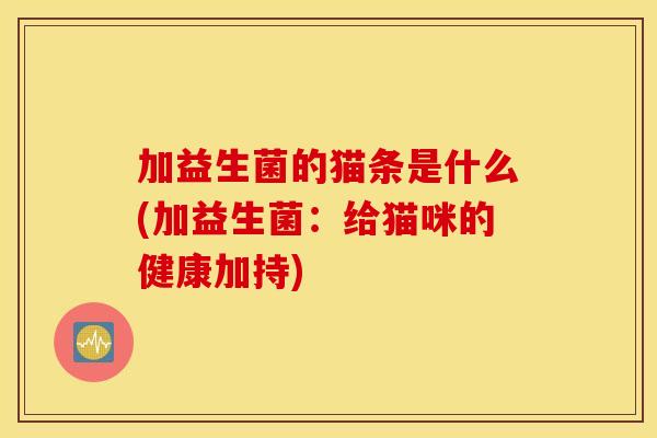 加益生菌的猫条是什么(加益生菌：给猫咪的健康加持)