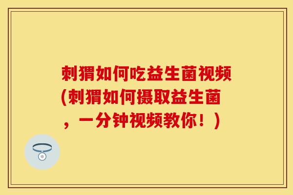 刺猬如何吃益生菌视频(刺猬如何摄取益生菌，一分钟视频教你！)