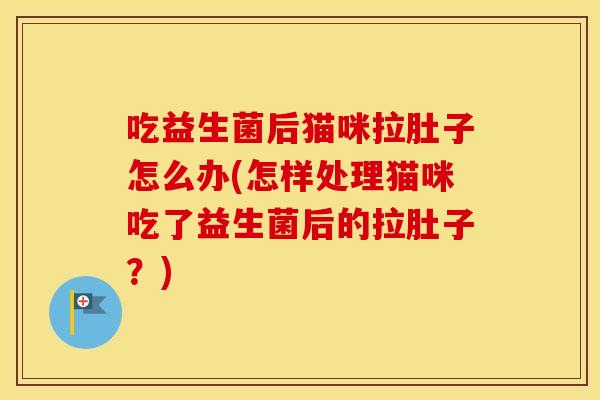 吃益生菌后猫咪拉肚子怎么办(怎样处理猫咪吃了益生菌后的拉肚子？)
